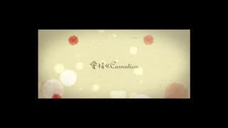 愛情≪Carnation 歌ってみた　【きみー】