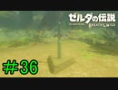 【実況】見落としが多い勇者の冒険part36【ブレスオブザワイルド】