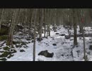 八ヶ岳散歩 西岳 20200302