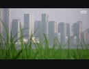 中国メディア「不動産市場が回復」 専門家「罠です」