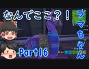 ここにいちゃダメでしょ！！！ｗｗｗ【ほのぼのFortnite実況】