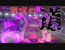 【ポケモン剣盾】捕らえる幻影と探求の道