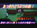 【あつ森】前人未島へようこそ！#66【あつまれどうぶつの森】