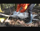 令和最初の狩猟生活(その125)