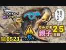5月24日今日撮り野鳥動画まとめ　カルガモ親子25日目、ハクセキレイ子育て