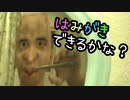 痛い子が歯を磨くとこうなる【実況】