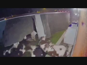 世界の交通事故動画集36