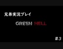 【GREEN HELL】兄弟サバイバル #3