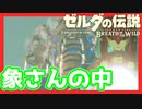 【ゼルダの伝説BotW】バクダンで大体のことは解決する大冒険 part20【実況】