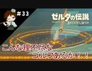 【実況】マスターモードでやりこみサバイバル生活！！　Part33　【ゼルダの伝説　BotW】