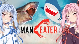 【Maneater実況01】安高価ゲーム好きの琴葉姉妹がサメと始まりの沼を行く