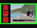 一攫千金！森で昆虫採集してみた