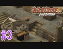 【実況】呪われた町、チャンバへ #3【ブレスオブファイアⅣ】