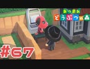 【実況】朝からゲームやってるのかと思った #67【あつまれどうぶつの森】