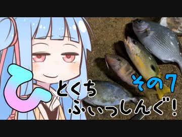 【琴葉週末】ひとくちふぃっしんぐ！まとめの７！【釣行記】