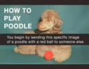 How to play Poodle