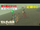 【寄り道ばかりの】ゼルダの伝説BotW【実況プレイ記録80】イーガ団アジトへ
