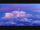 【芝麻Mochi】アイモ～鸟のひと