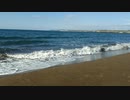 男一人で海に行ってきました