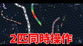 【実況】2 画 面 ス リ ザ リ オ【slither.io】