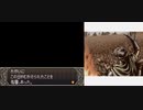 ファイアーエムブレム 新・イラナイツと志願兵の謎 １７章　２/２