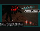 一人ぼっちのマインクラフト：害虫駆除編【Minecraft】#10