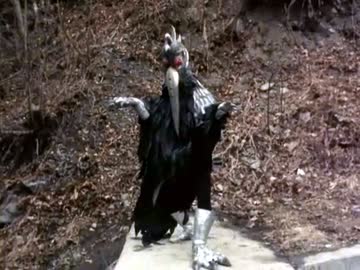 仮面ライダースーパー１　第23話　「不死身の帝王テラーマクロの正体は？」