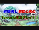 経験者と超初心者のTerraria(マスターモード)実況プレイ！ Part5.5