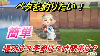 あつまれどうぶつの森 ベタが釣れる条件とは 場所は 季節は 時間帯は 魚図鑑コンプへの道 釣り攻略 あつ森 ニコニコ動画