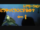 【レアモーション】どうやってう〇こするの？【タートルトーク】東京ディズニーシー