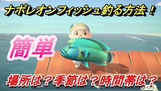 あつまれどうぶつの森　ナポレオンフィッシュを釣る条件とは！？場所は？季節は？時間帯は？　魚図鑑コンプへの道！釣り攻略。　【あつ森】