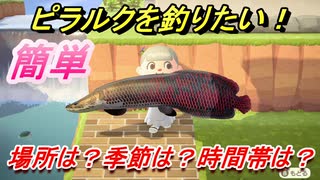 あつまれどうぶつの森　ピラルクが釣れる条件とは！？場所は？季節は？時間帯は？　魚図鑑コンプへの道！釣り攻略。　【あつ森】