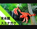 【折り紙】「末永龍スエナガク」 21枚【ドラゴン】【末永く】／【origami】"End Permanent Dragon Suenagaku" 21 sheets【dragon】