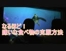 【なるほど！】嫌いな食べ物の克服方法【タートルトーク】東京ディズニーシー