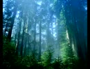 続・好きな音楽テーマ別うｐ・五音編