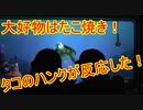 【ハンクが反応】大好物はたこ焼き！【タートルトーク】東京ディズニーシー