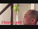 I have a pen