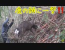 オス鹿の突進！！頭に一撃くらわします＆止め刺し