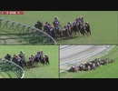 2020年 日本ダービー（GⅠ） 参考レースまとめ