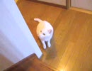 ○ッフィー＞エ○モ