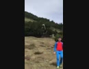 ベアストーカー