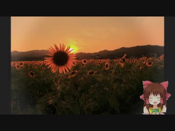 【再】日本の夏を感じさせる神社.mp4