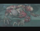 【BIOHAZARD RE：3】すごく噛みながら逃げ延びる part09【実況】