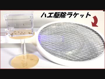 ハエ駆除ラケットの金網の上に大量のハエを歩かせたら・・・。