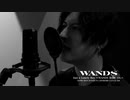 【WANDS】「Just a Lonely Boy ～WANDS 第5期 ver.～」MAD CM