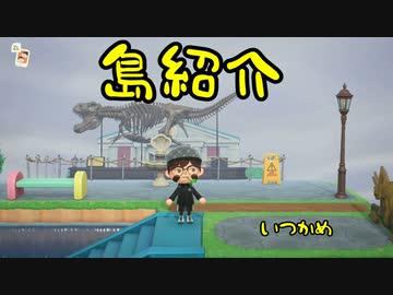 【あつまれどうぶつの森】　よるのし島ゆる便り　いつかめ