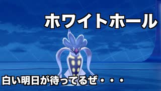 コジロウの使うポケモンで戦う人