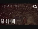 【A PLAGUE TALE 】 #22 鼠が居ればこっちのもんだぜ！