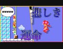 散々な目に遭うキノピコに、涙が止まらない……【5300を目指すマリメみんバト実況】