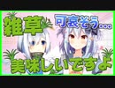 犬山たまきに雑草の美味しさを教える天音かなた【かなたま】
